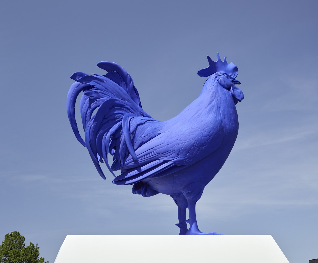 Hahn/Cock                                       