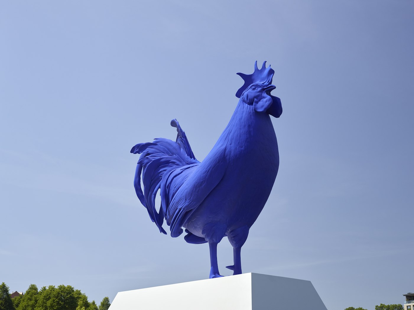 Hahn/Cock                                       
