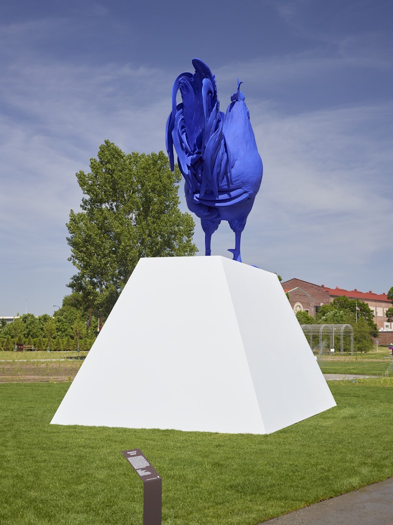 Hahn/Cock                                       