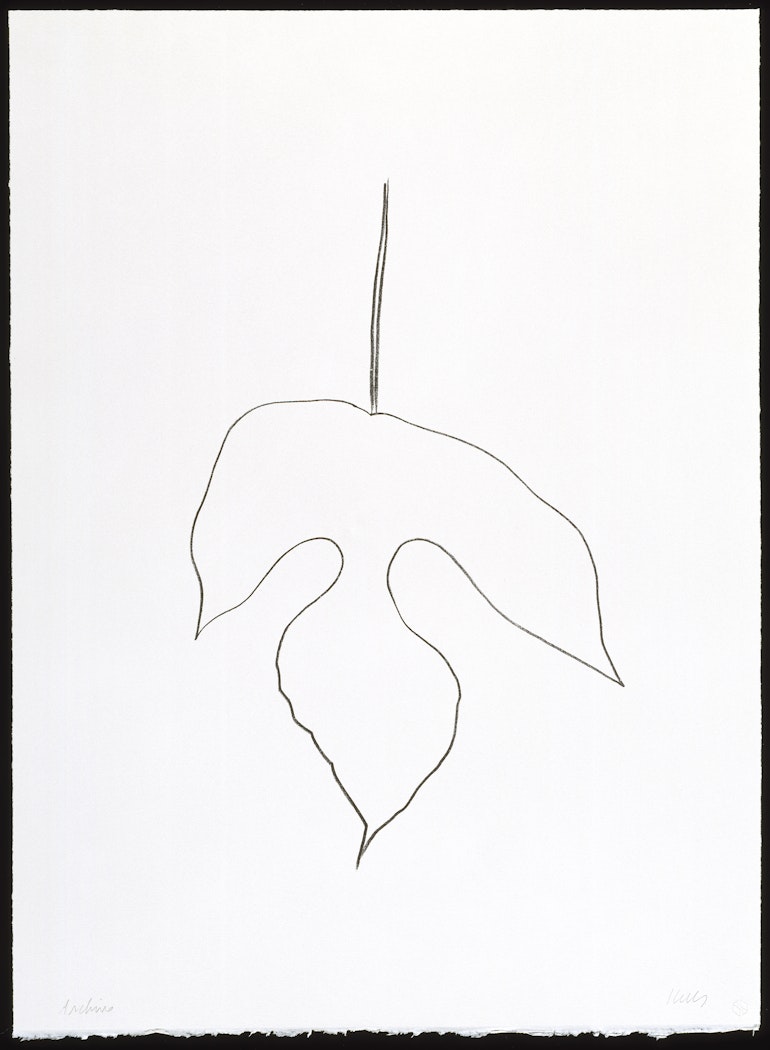 Mulberry Leaf