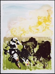 Devonshire Cows