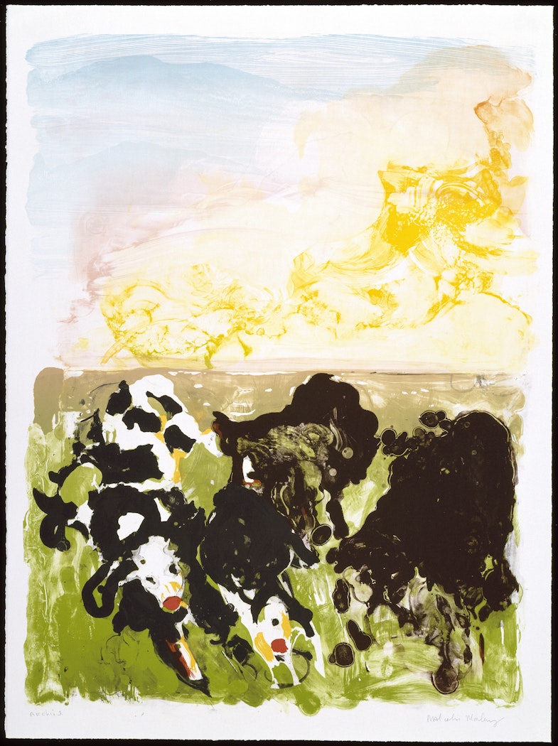 Devonshire Cows