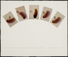 Five Pickles (with Fingerprints) in the Shape of a Hand