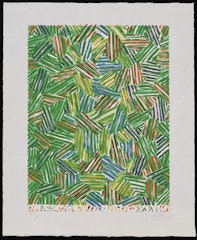 Cicada