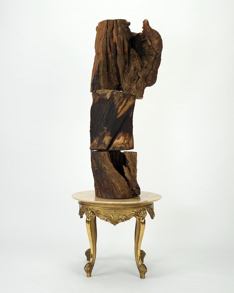 An Intervention of Red Bud