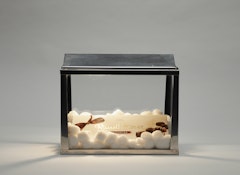 Untitled (Aquarium from Al's Cafe)