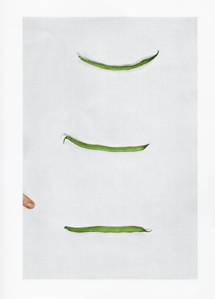 Choosing:  Green Beans