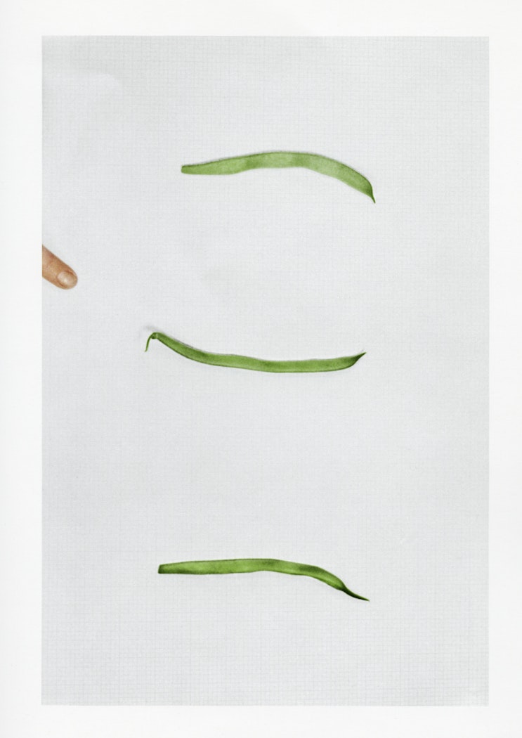 Choosing:  Green Beans