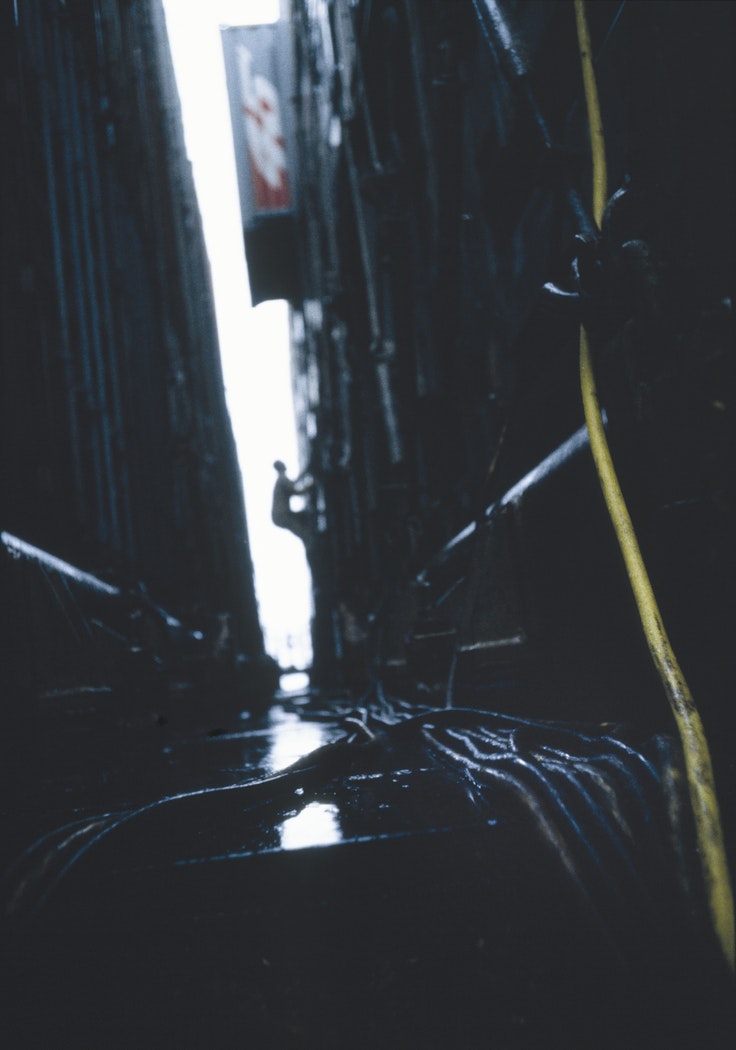 Chapter Three: Middle Passage from Fish Story 