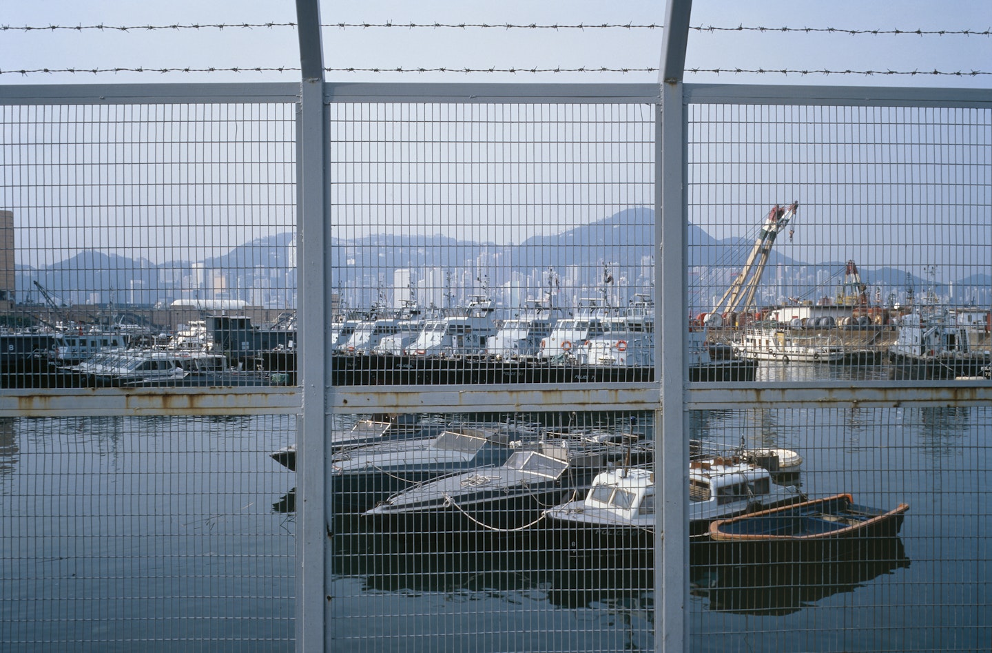 Chapter Seven: "Dictatorship of the Seven Seas" from Fish Story 