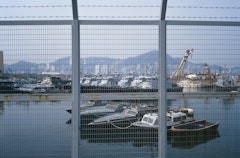 Chapter Seven: "Dictatorship of the Seven Seas" from Fish Story 