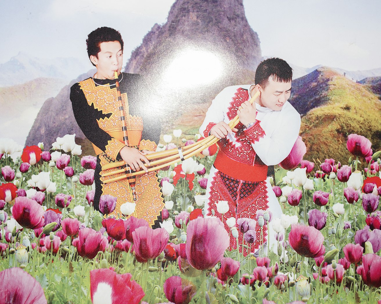 untitled (photograph of two men with instrument) from the series The Imaginative Landscape