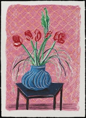 Amaryllis in Vase