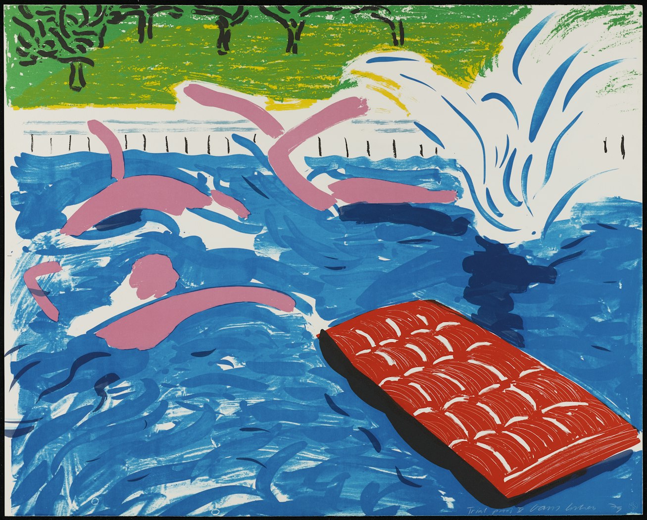 Afternoon Swimming