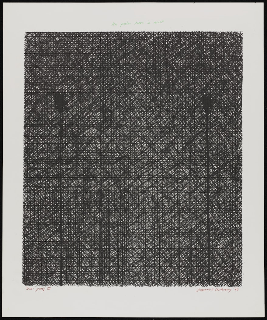 Ten Palm Trees in the Mist