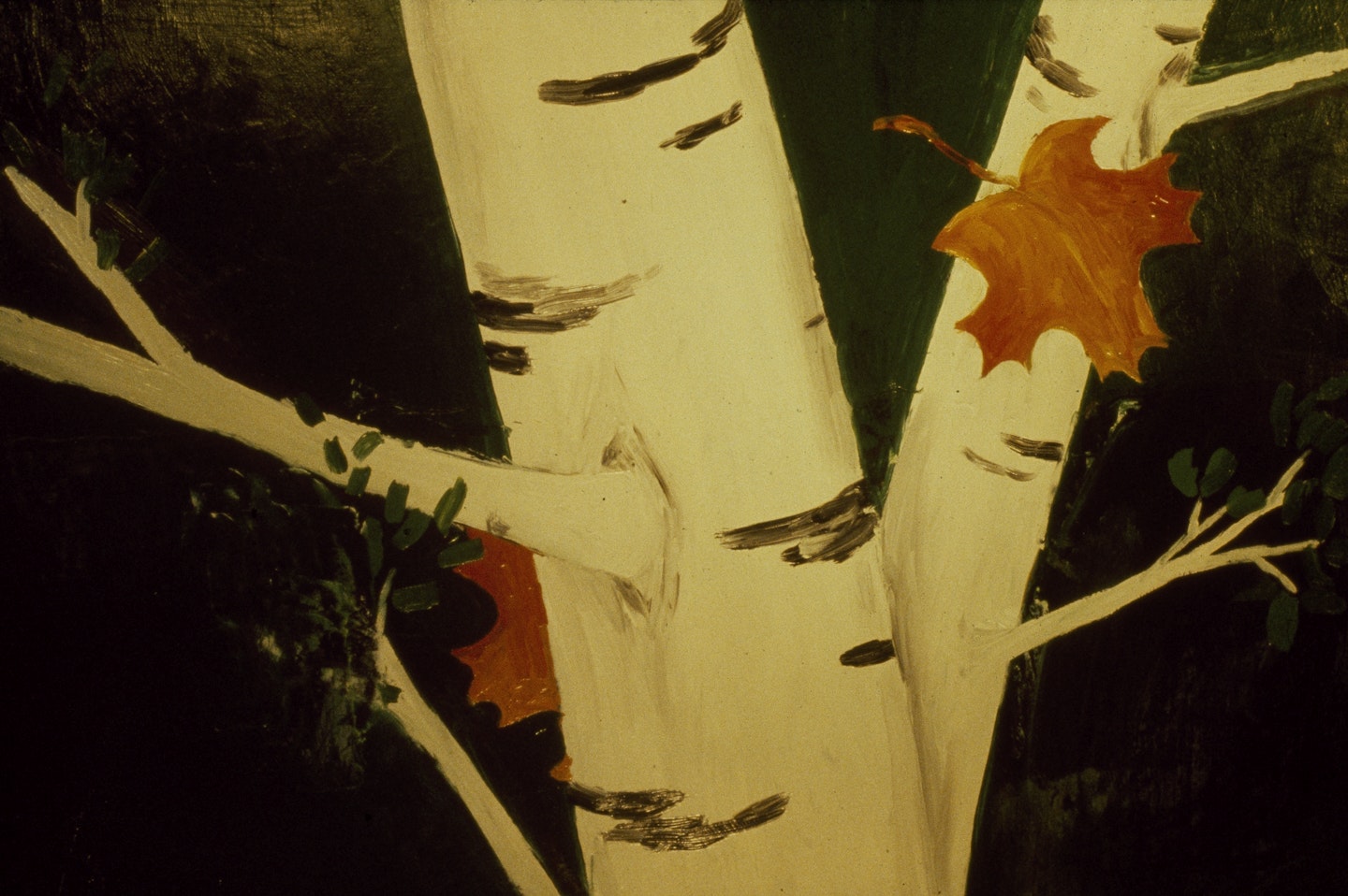 Slides of a Changing Painting