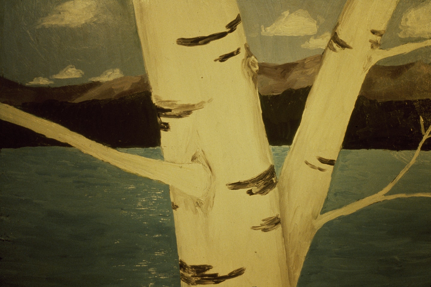 Slides of a Changing Painting