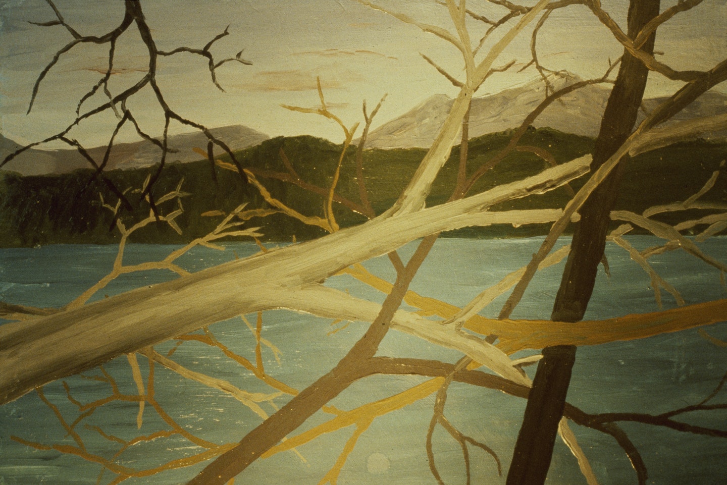 Slides of a Changing Painting