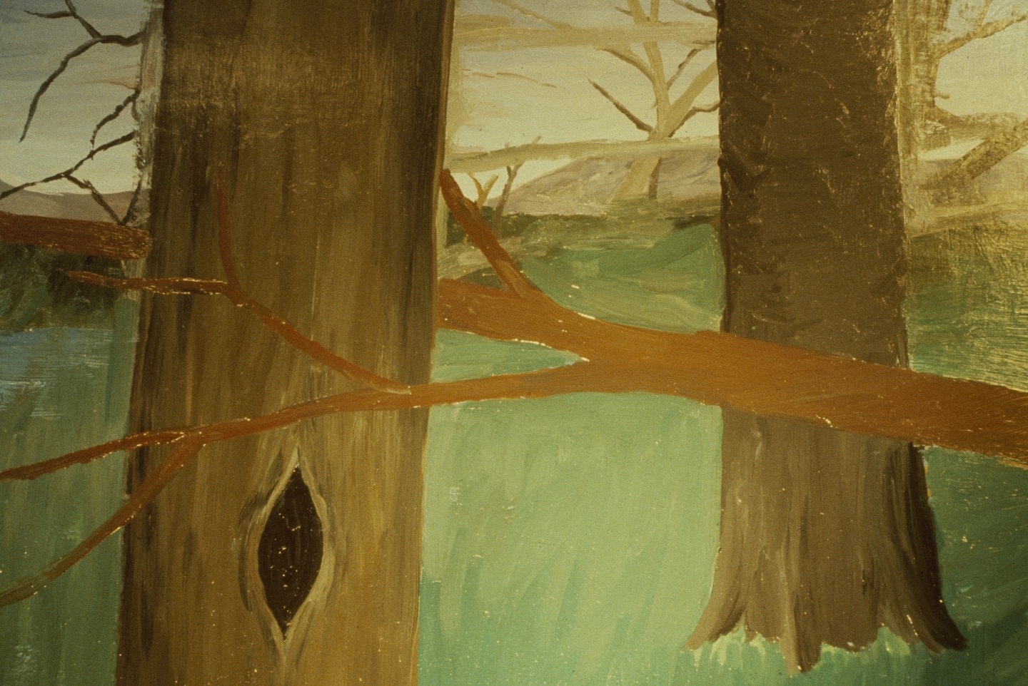 Slides of a Changing Painting