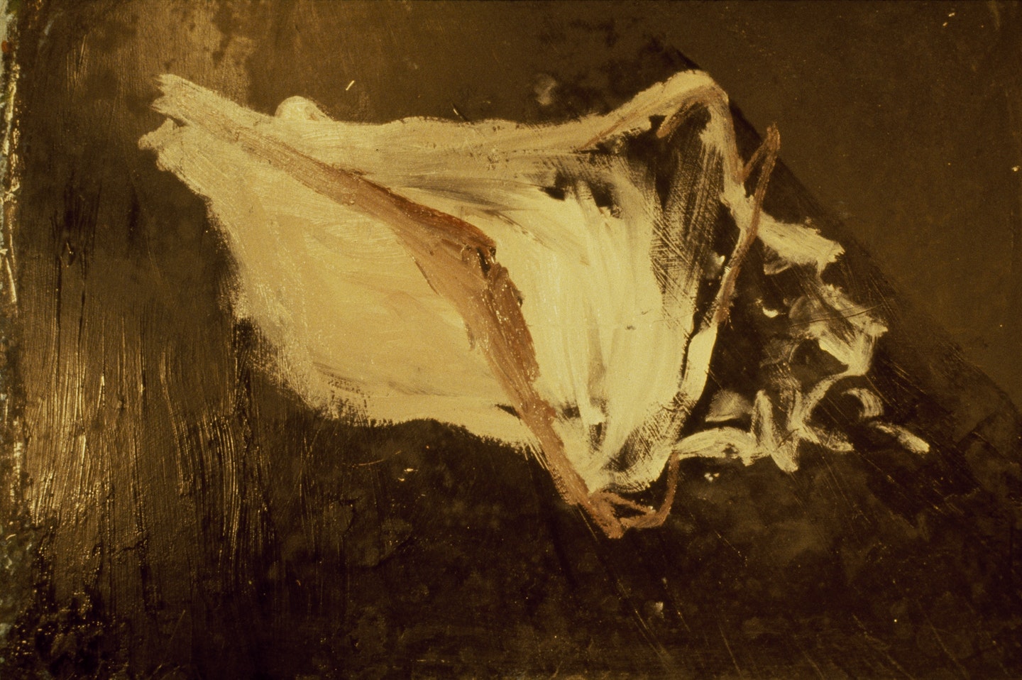 Slides of a Changing Painting