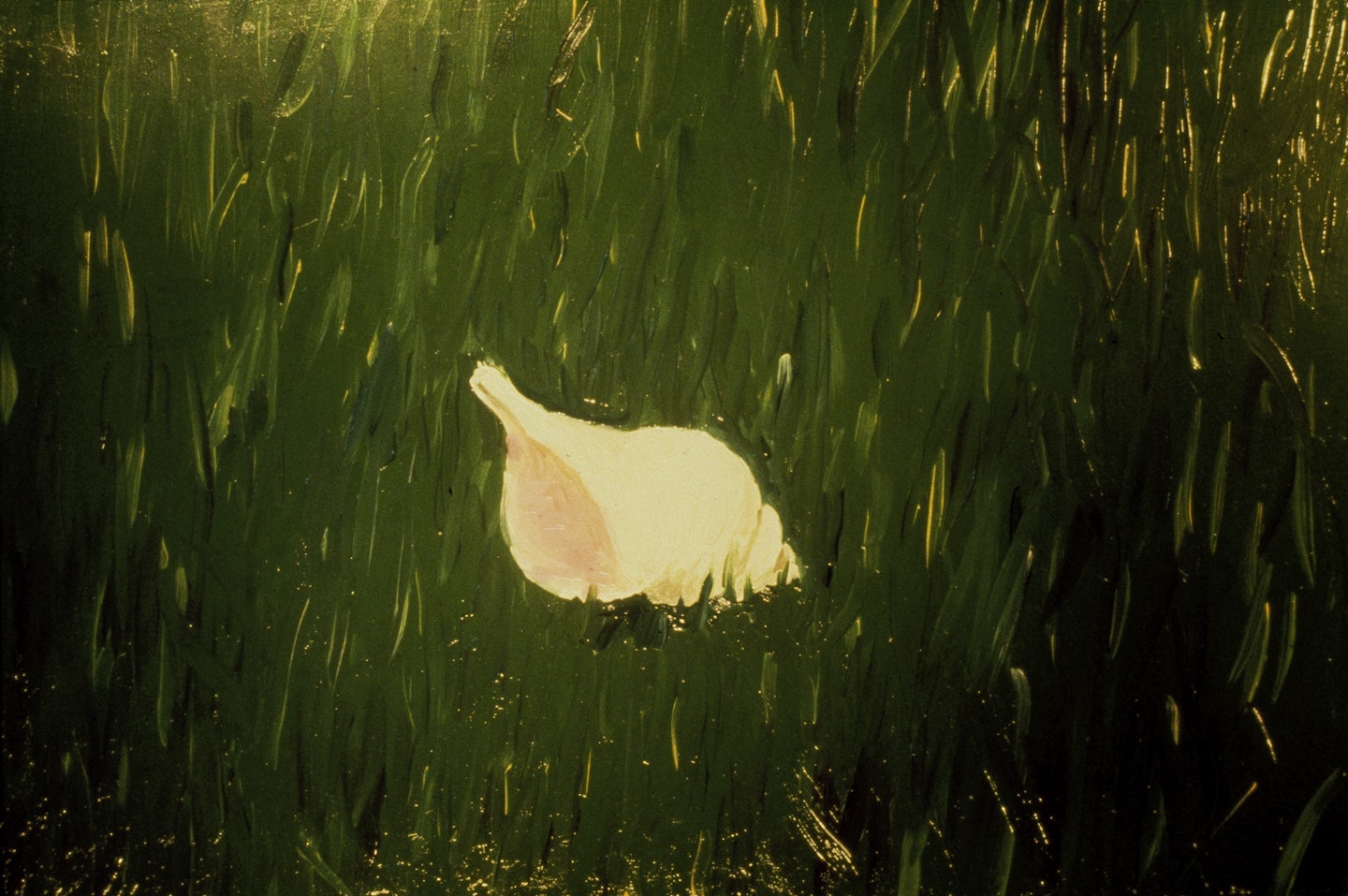 Slides of a Changing Painting