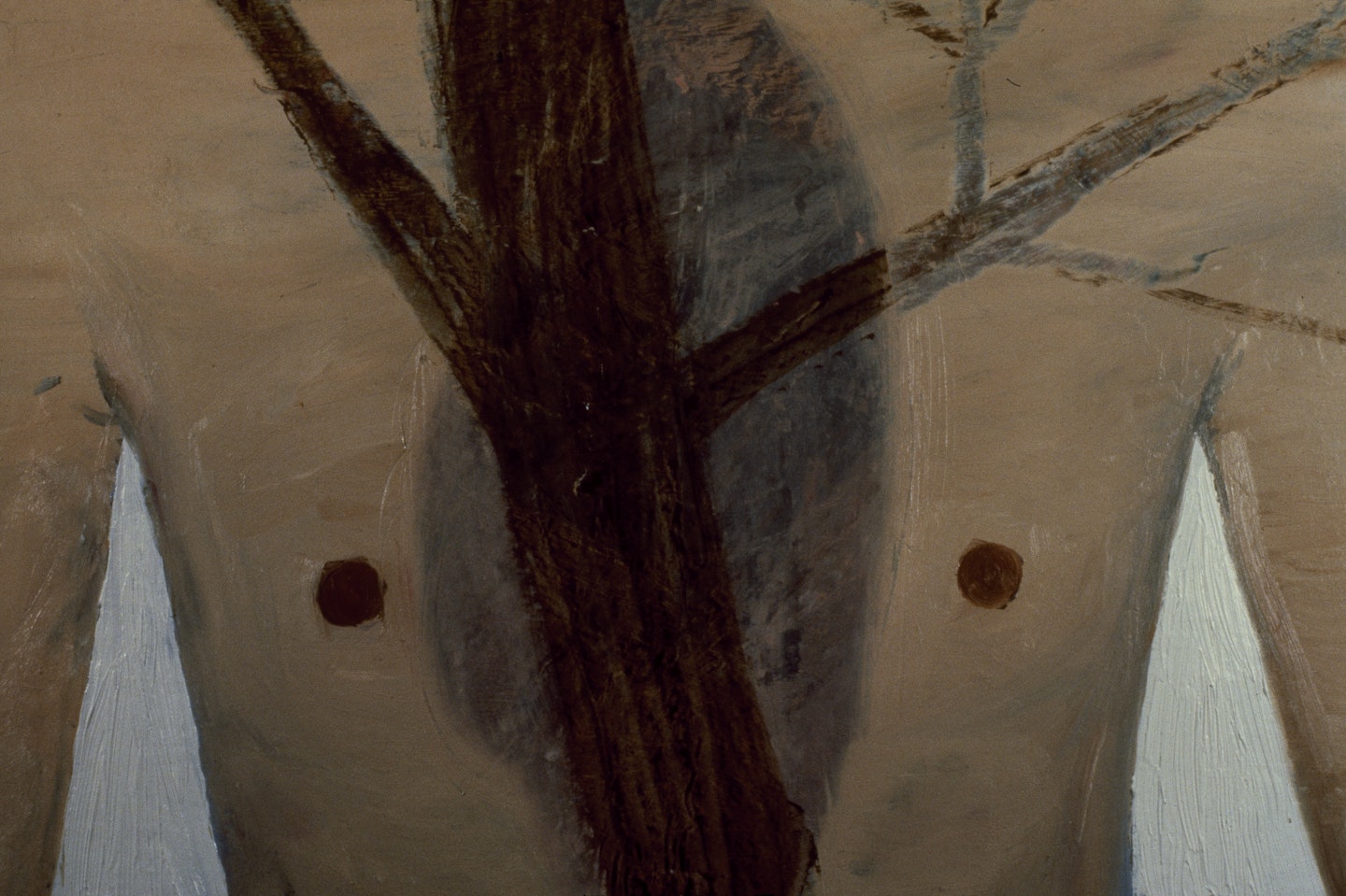 Slides of a Changing Painting