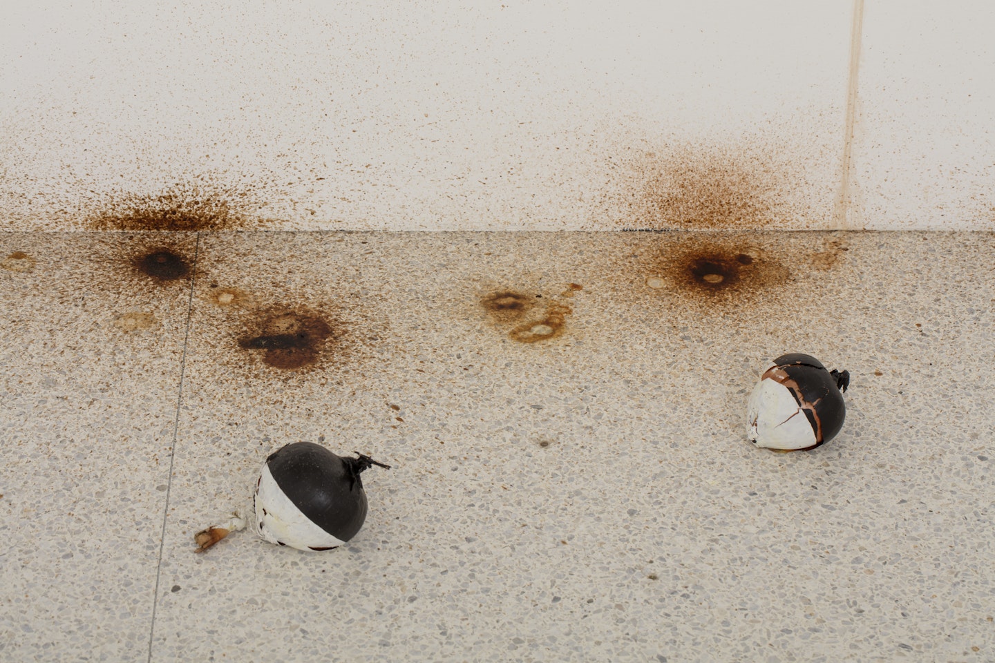 The Polis or the Garden or Human Nature