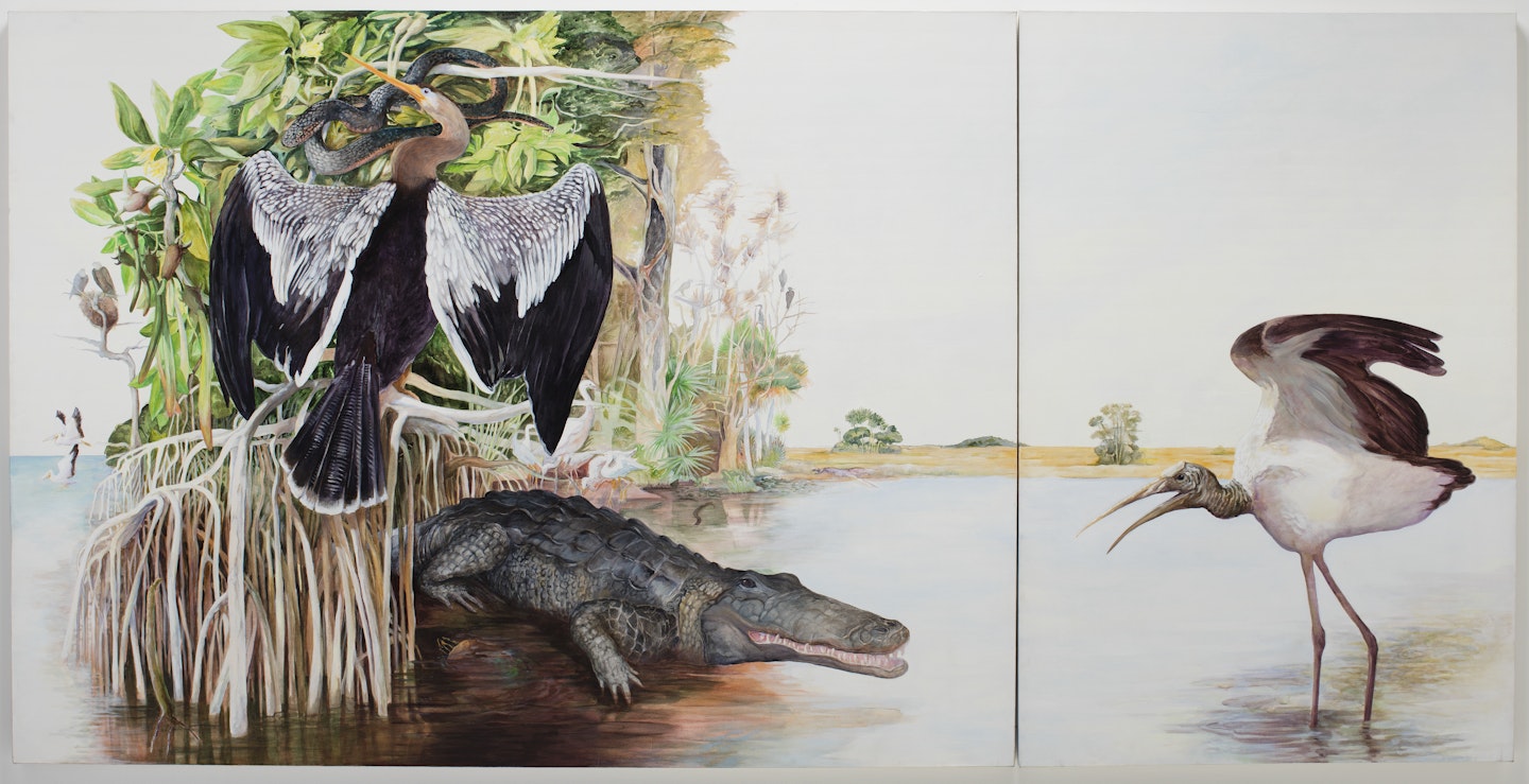 Everglades