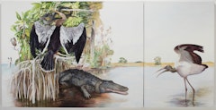 Everglades