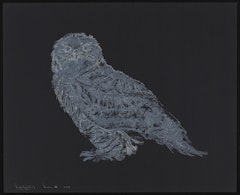 Snowy Owl