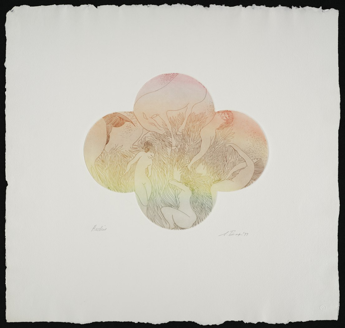 Spawnofcloverwithcuriousoccupants