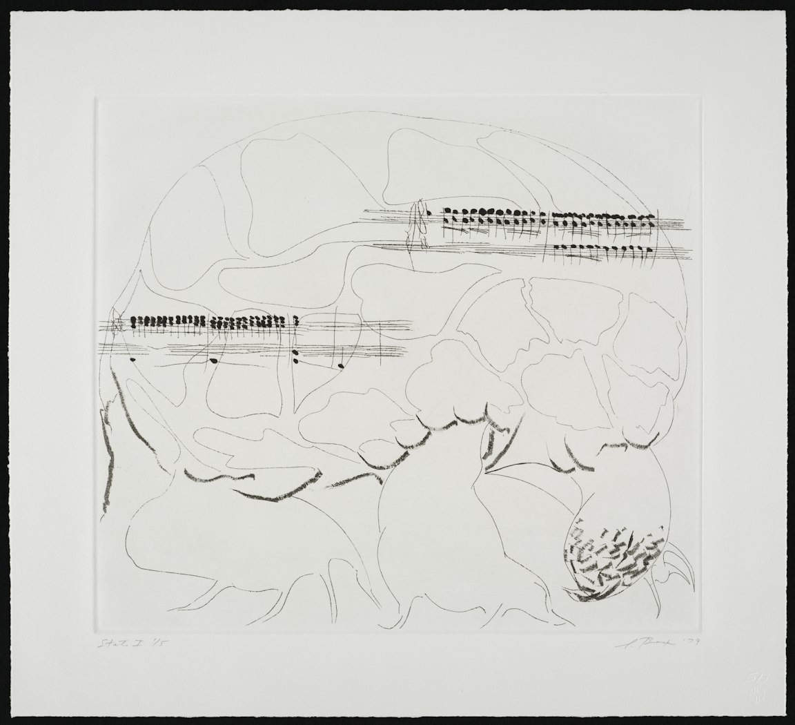 Carnival of Animals: Turtle, State I
