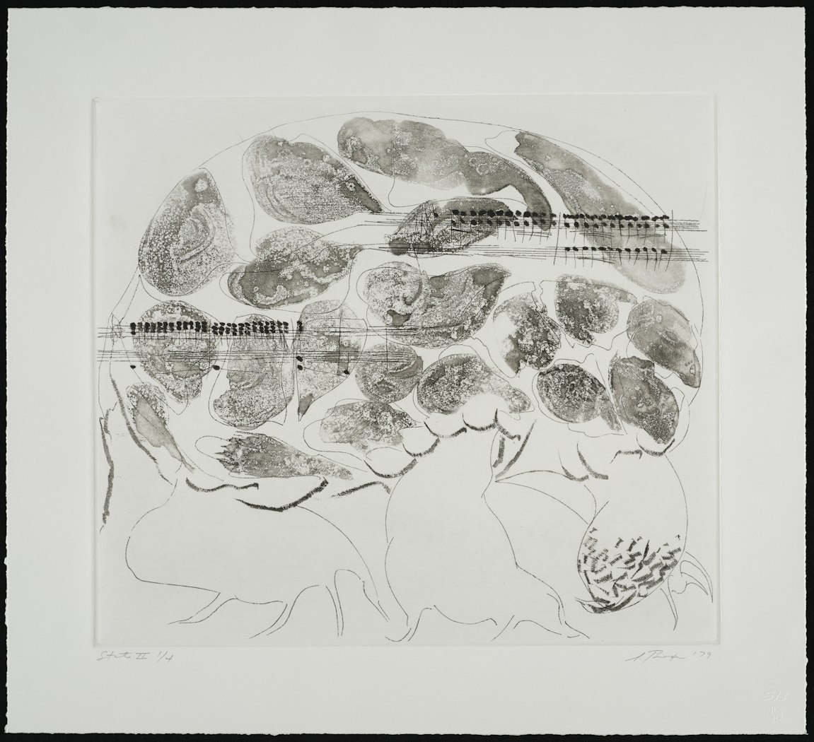 Carnival of Animals: Turtle, State II
