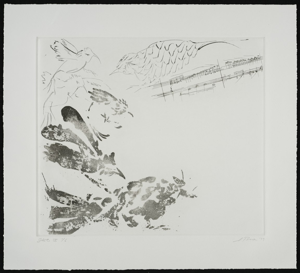 Carnival of Animals: Birds Soaring, State I