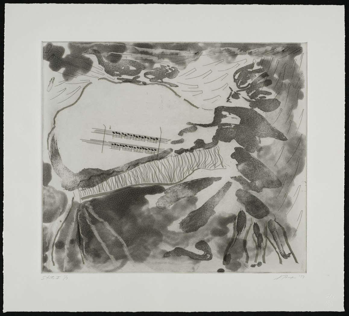 Carnival of Animals: Pianist, State I