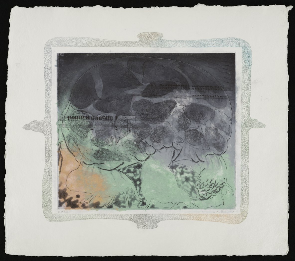 Carnival of Animals: Turtle