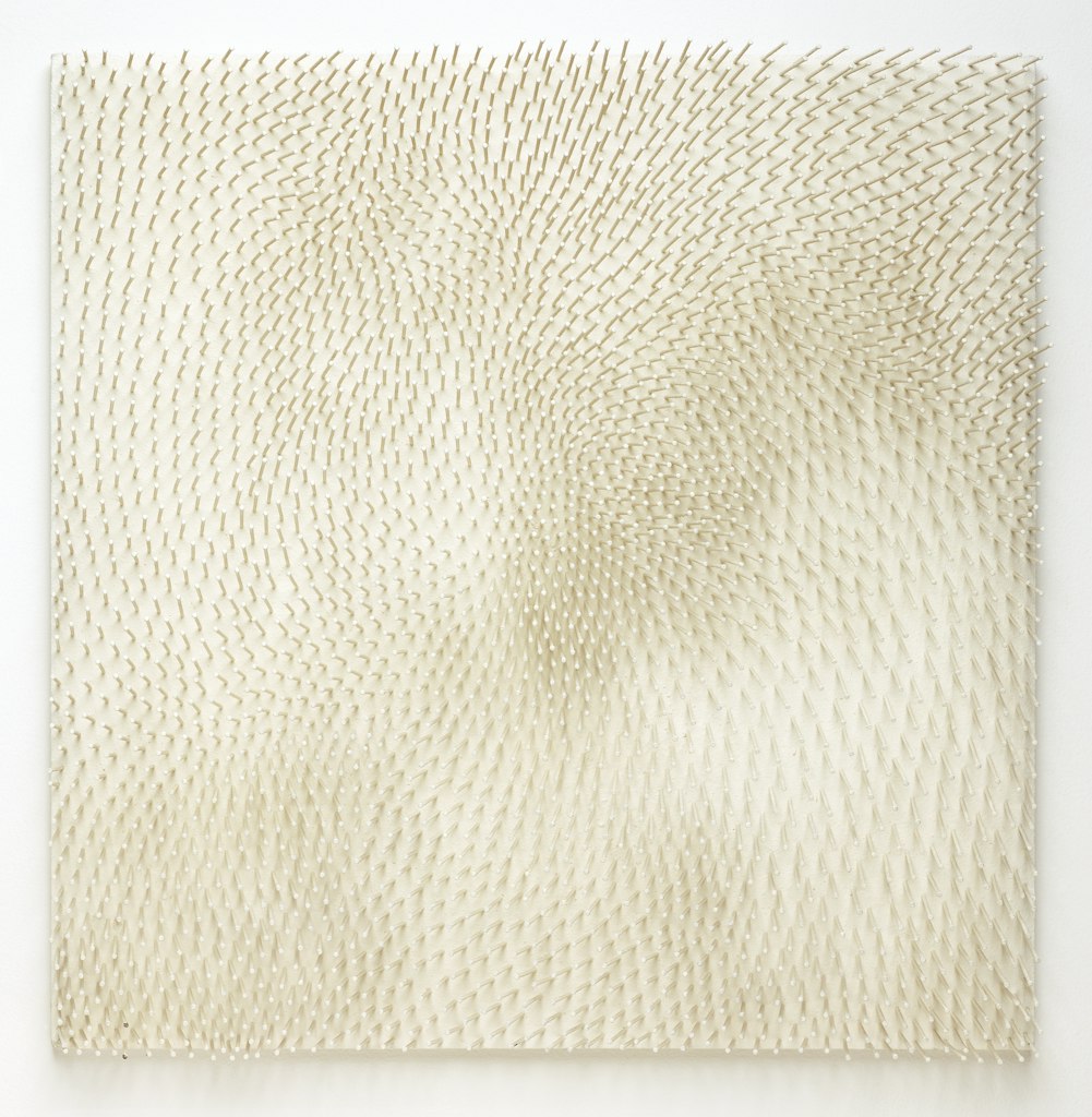 White Field