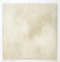 White Field
