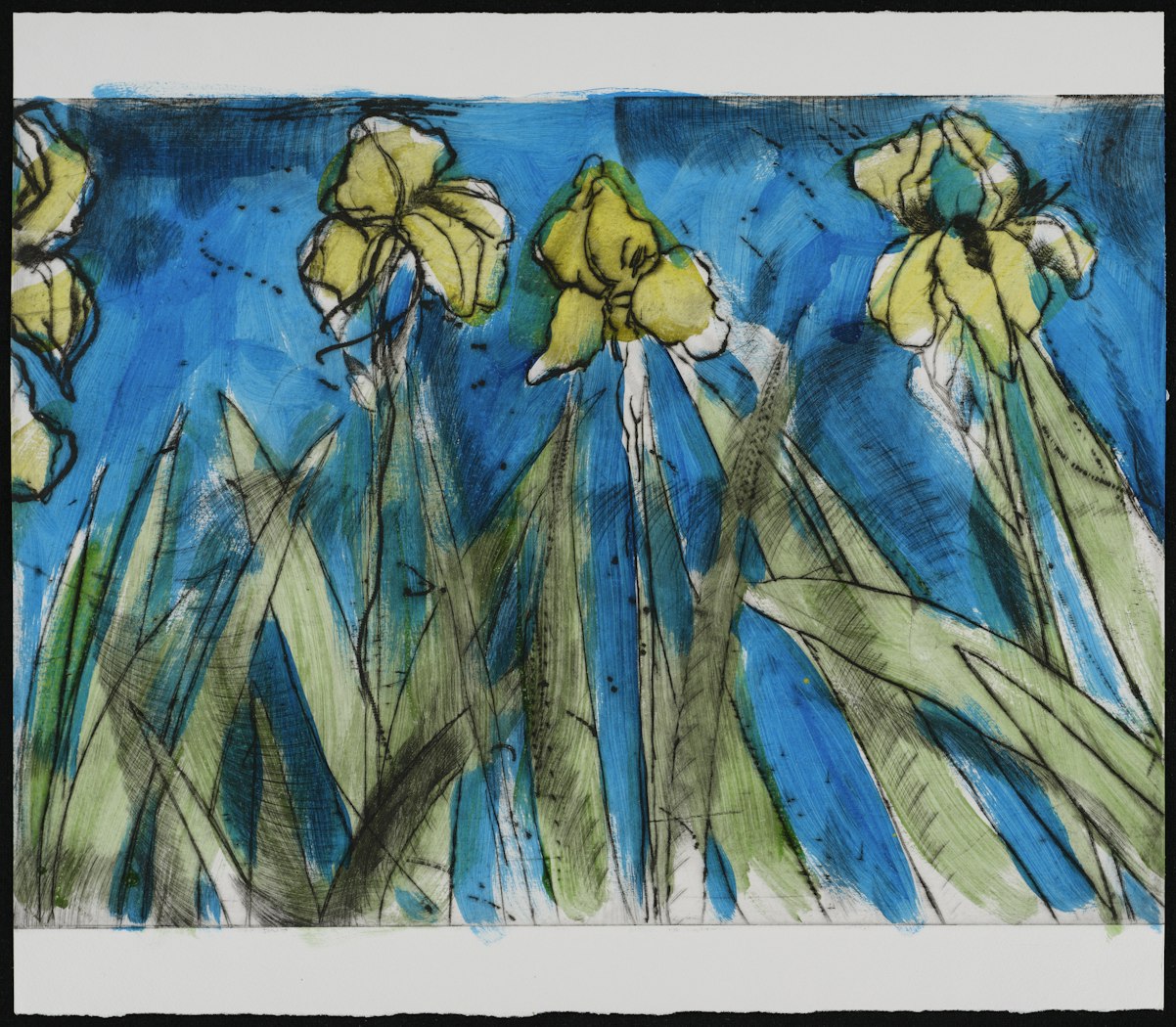 Rachel Cohen's Flags State II