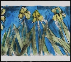 Rachel Cohen's Flags State II