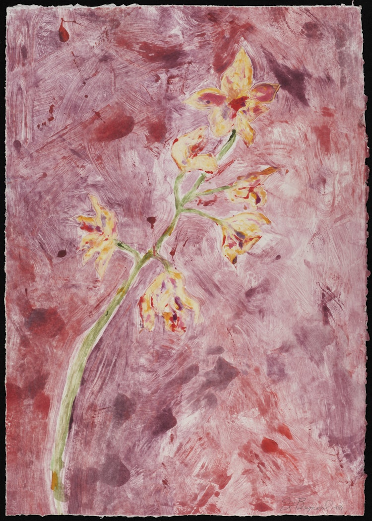 Monotype