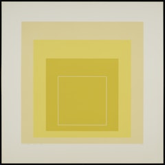 White Line Square XVII