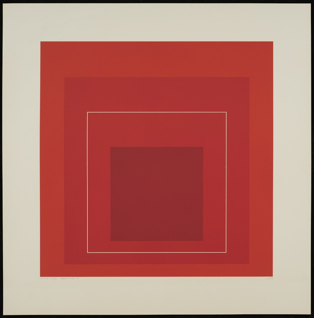 White Line Square XV