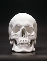 Totenkopf (Skull)