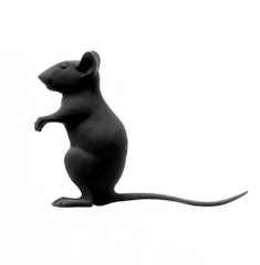 Maus (Mouse)