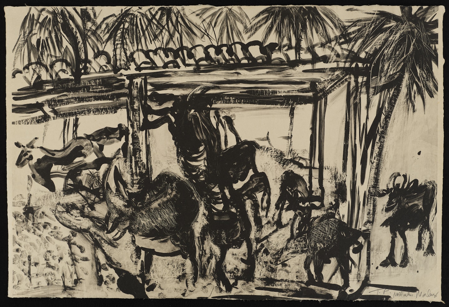 Goats in Shed