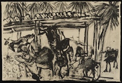 Goats in Shed