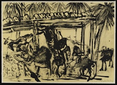 Goats in Shed