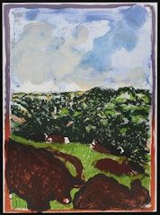 Devonshire Bullocks
