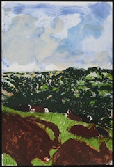 Devonshire Bullocks